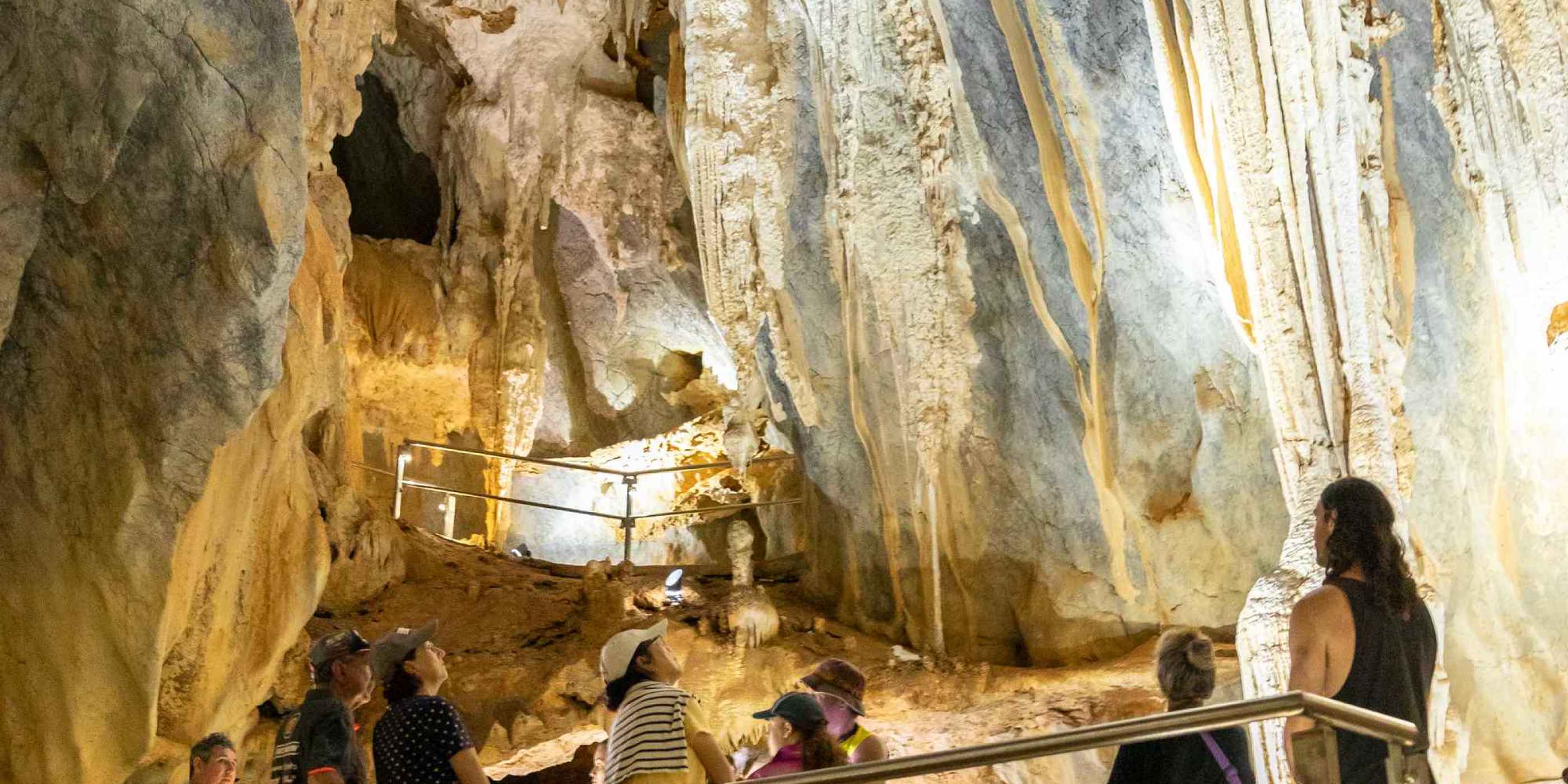 Unique Daintree 4wd tours! Best Daintree experience.